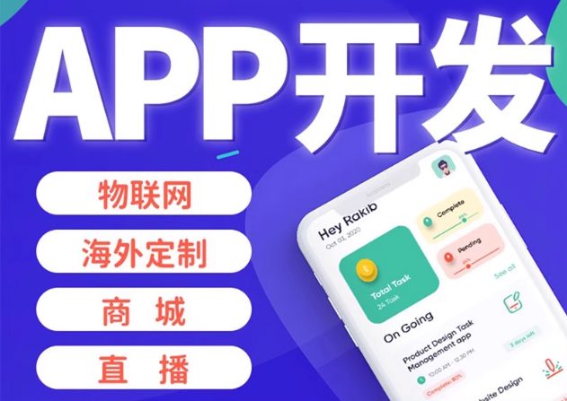 电商商城建站 微信支付/会员/物流对接